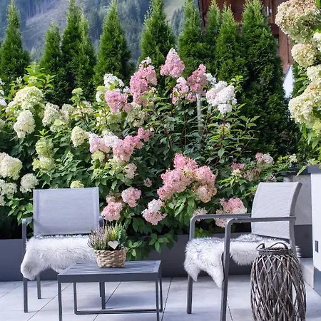 Sunny In - Out - Self Check-in * زيل أم سي