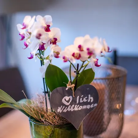 Sunny In - Out - Self Check-in *