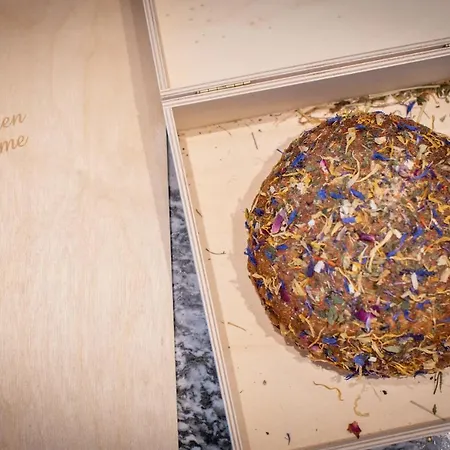 شقة Sunny In - Out - Self Check-in زيل أم سي