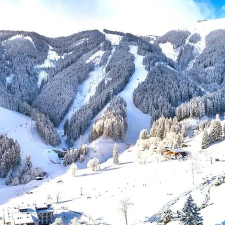 Sunny In - Out - Self Check-in