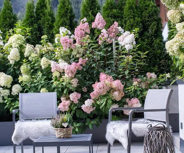 Sunny In - Out - Self Check-in * ツェル アム ゼー