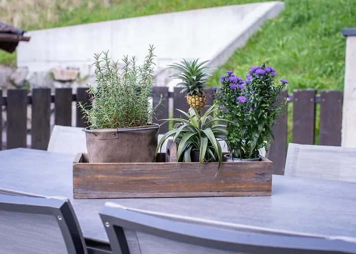 Sunny In - Out - Self Check-in ツェル アム ゼー