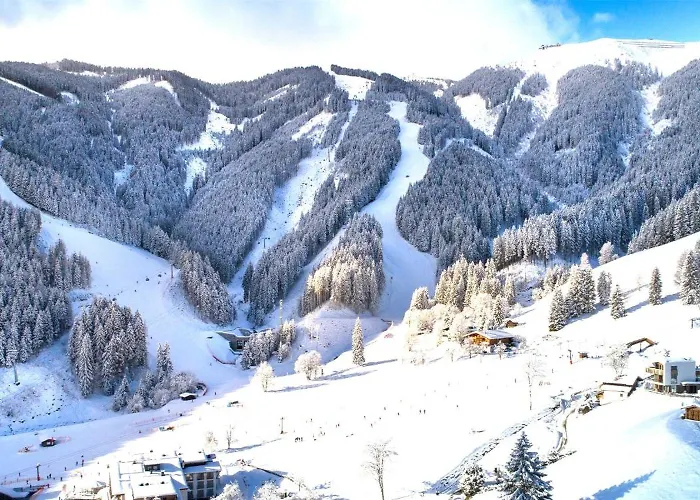 Sunny In - Out - Self Check-in