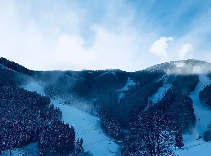 Sunny In - Out - Self Check-in Lejlighed Zell am See